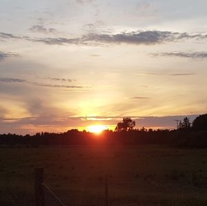 Meet your Posher, Tricia